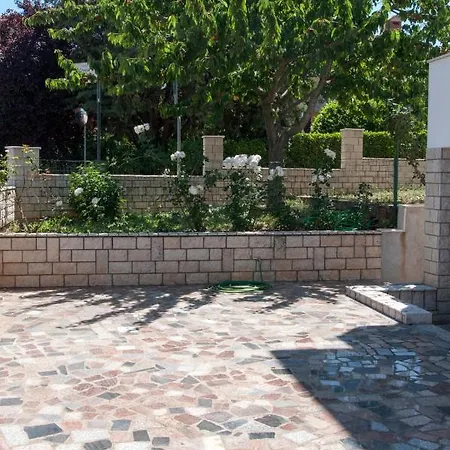 David's بوريتش