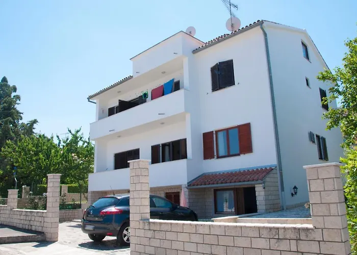 David's بوريتش